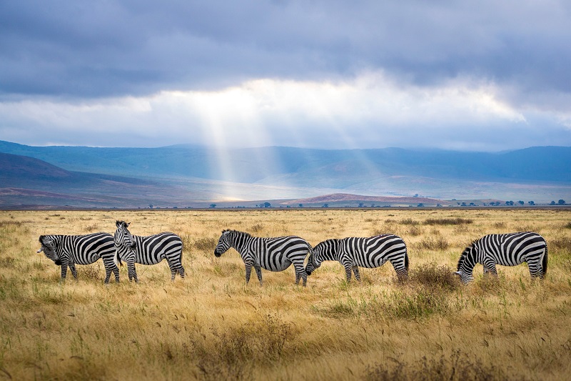 Amboseli