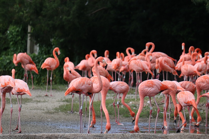 Nakuru